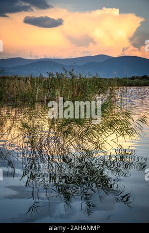 Blick über das Schilf im Mikri Prespa See bei Sonnenuntergang, Mazedonien, im Norden Griechenlands. Stockfoto