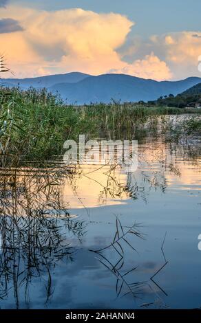 Blick über das Schilf im Mikri Prespa See bei Sonnenuntergang, Mazedonien, im Norden Griechenlands. Stockfoto