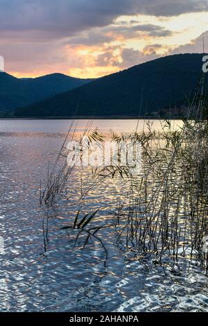 Blick über das Schilf im Mikri Prespa See bei Sonnenuntergang, Mazedonien, im Norden Griechenlands. Stockfoto