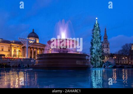 Am späten Nachmittag kurz vor Weihnachten in den Trafalgar Square, die mit der riesigen Norwegischen Weihnachtsbaum begabt zu Großbritannien jedes Jahr von Norwegen Stockfoto