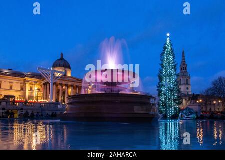 Am späten Nachmittag kurz vor Weihnachten in den Trafalgar Square, die mit der riesigen Norwegischen Weihnachtsbaum begabt zu Großbritannien jedes Jahr von Norwegen Stockfoto