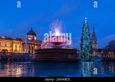 Am späten Nachmittag kurz vor Weihnachten in den Trafalgar Square, die mit der riesigen Norwegischen Weihnachtsbaum begabt zu Großbritannien jedes Jahr von Norwegen Stockfoto