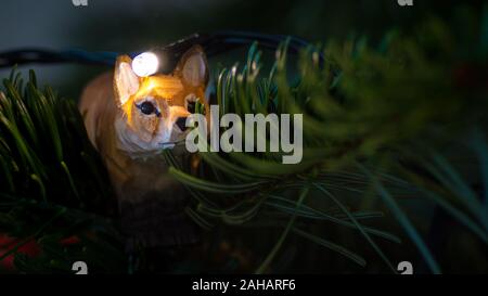 Eine kleine hölzerne Fox als Christbaumschmuck verwendet Stockfoto