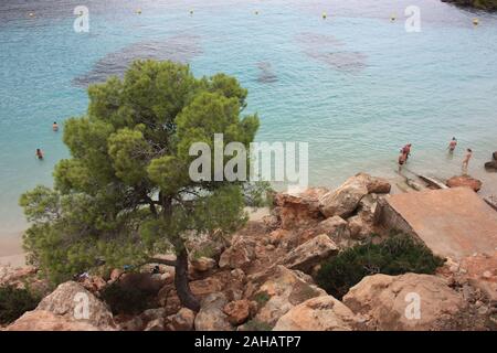 Die schönen und berühmten Bucht von Cala Saladeta Ibiza von oben oder felsigen Bucht zwischen den Felsen zu sehen und die Vegetation der Balearen Inseln Stockfoto