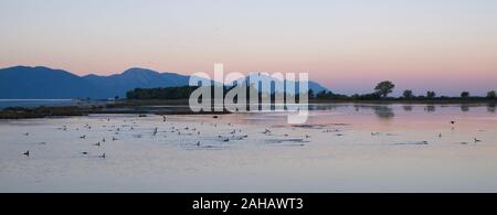 Feuchtgebiete an der Mündung des Flusses Neretva, Kroatien Stockfoto