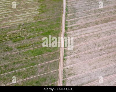 Luftaufnahme von trockenen Schäferei in Cedar City, Utah, USA Stockfoto