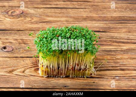 Frische microgreens. Sprossen von Brunnenkresse auf Holz- Hintergrund. Stockfoto