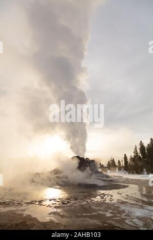 Das Schloss Geysir bricht mit einer Explosion von Dampf in die Upper Geyser Basin im Winter im Yellowstone Nationalpark Yellowstone, Wyoming. Yellowstone ist Heimat für die Hälfte der Welten Gesamtzahl der Geysire, mit Tausenden von heißen Quellen, und etwa 300 bis 500 Geysire. Stockfoto