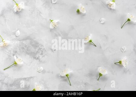 Frühling Hintergrund mit Cherry Blossom Blumen auf grauem Marmor Textur. Ansicht von oben Stockfoto