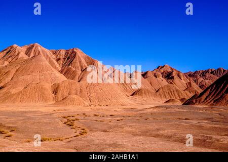 Eine Herde vikunjas Pass durch den roten Hügeln der Desierto de Laberinto, oder Labyrinth Wüste, in Tolar Grande in der Höhe des Altiplano puna Wüste in der Nähe von Salta in Argentinien Stockfoto