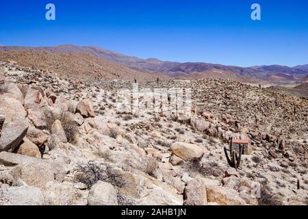 Felsige Hänge und gigantischen Kakteen im pre-Inka Ruinen von Tastil in die Höhe puna Hochland Wüste in der Nähe von Salta in Argentinien Stockfoto