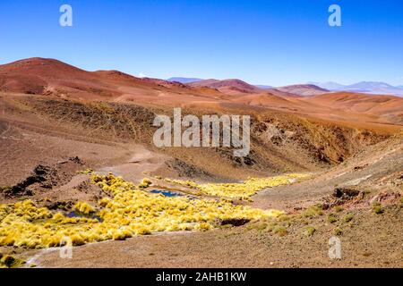 Dramatische rot und orange Berge mit leuchtend gelben Gräser in der Höhe des Altiplano puna Wüste in der Nähe von Salta in Argentinien Stockfoto