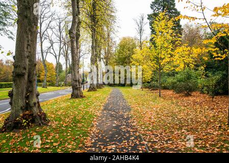 Leere schmalen Pfad in Laub neben einem Baum runing abgedeckt gesäumten Straße an einem bewölkten Herbst Tag Stockfoto