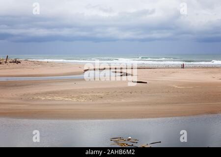 Foto von einem Sandstrand und Lagune mit Möwen und die Wellen am Strand von San Gregorio, in Half Moon Bay, Kalifornien Stockfoto