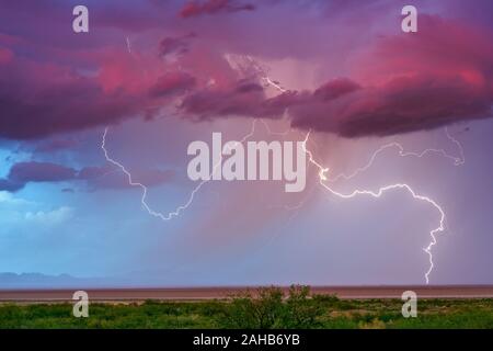 Der Himmel bei Sonnenuntergang und Wolken mit lebhaften Blitzeinschlägen, während sich in der Nähe von Willcox, Arizona, ein Monsunwetter entwickelt Stockfoto