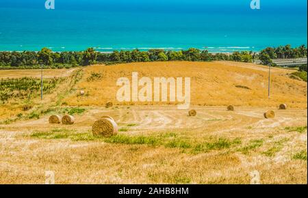Ländliche Landschaft von Weizenhaystacks auf einem Feld in Termoli, Molise, Süditalien. Stockfoto