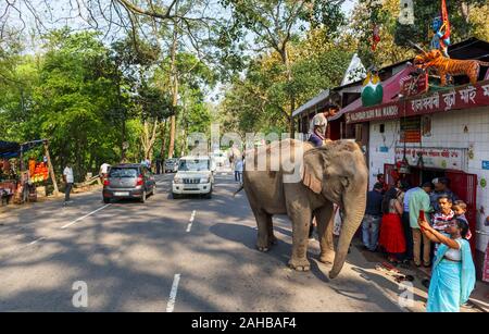 Street Scene in einem Dorf im Kaziranga, Assam, Indien: ein indischer Elefant mit seinem mahout steht in der Straße draußen einen hinduistischen Tempel Stockfoto