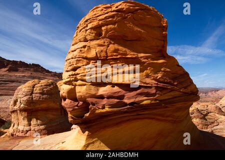 Ungewöhnliche Gehirn Felsformationen in der Nähe des Wave in North Coyote Buttes. Stockfoto