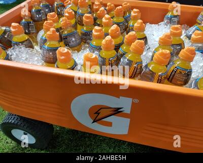 Phoenix, AZ, USA. 27 Dez, 2019. Die Washington State Cougars gegen Luftwaffe am Cheez-It Schüssel Vorschau, Chase Field, in Phoenix, AZ. (Absolut komplette Fotograf & Company Credit: Jose Marin/MarinMedia.org/Cal Sport Media) (HOLLYWOOD DAS LEBEN HERAUS, SHUTTERSTOCK AUS). Credit: Csm/Alamy leben Nachrichten Stockfoto