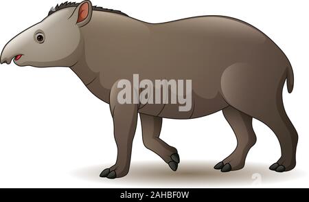 Abbildung: amerikanische Tapir auf weißem Hintergrund Stock Vektor