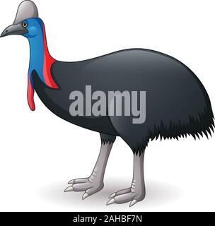 Abbildung: Cassowary auf weißem Hintergrund Stock Vektor