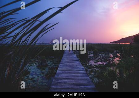 Dock während purple Sunset mit Meer rose Pflanzen und wilden Feuer am See Itza, El Remate, Peten, Guatemala Stockfoto