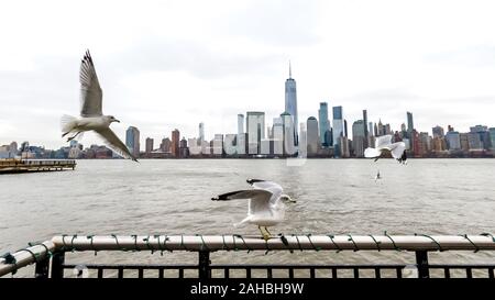 New York, USA, 27. Dezember 2019. Möwen fliegen zu Hoboken über den Hudson River auf der anderen Seite die Skyline von Lower Manhattan in New York City. Credit: Enrique Stockfoto