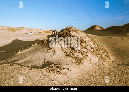 Dünen Sonnenuntergang, Guadalupe Dunes National Wildlife Refuge, Kalifornien Stockfoto