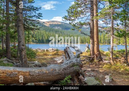 Finch Lake Trail in den Rocky Mountain National Park, USA Stockfoto