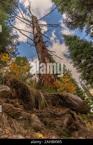 Wandern Granat Canyon Trail Wanderung Der Grand Tetons National Park in Wyoming, USA Stockfoto