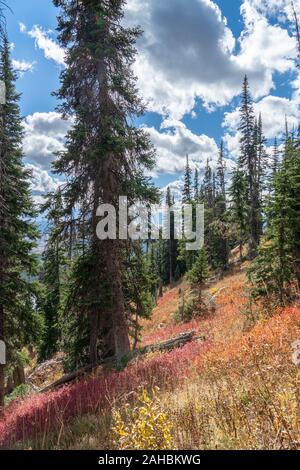 Wandern Granat Canyon Trail Wanderung Der Grand Tetons National Park in Wyoming, USA Stockfoto