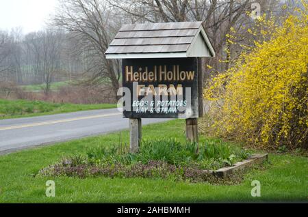 Heidel Hollow Farms hat eine Familie besaß Bauernhof seit 1852 und wird zurzeit eine 1.800 Hektar große Betrieb in Germansville, PA am 20. April 2011. Von Präsident David Fink führte sie hauptsächlich produzieren und kompakt Heu für den Export; Zusätzlich wachsen Sie produzieren auf 300 Morgen für den lokalen Verkauf innerhalb eines 40-Meilen-Radius. Mit der finanziellen Hilfe der US-Ministerium für Landwirtschaft (USDA) ein 896 Panel solar array vor kurzem auf unfarmable Umleitung-gräben installiert wurde. Bei 200 Kilowatt ausgelegt, sie Projekt 240 Megawatt Strom pro Jahr erzeugt werden, die bis zu 70 % der Betriebe elektrischen Anforderungen. Zusätzlich Stockfoto