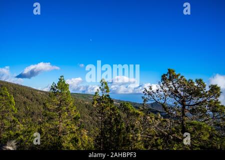 Spanien, Teneriffa, Blick über Green Tree Tops in den Bergen mit Mond und blauer Himmel und Wolken Stockfoto