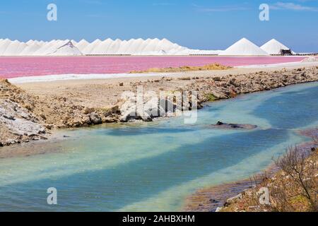 Landschaft mit rosa Salz See und Salz Bergen auf der Insel Bonaire Stockfoto