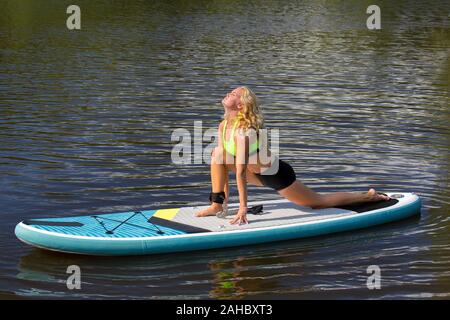 Junge blonde Holländerin erstreckt sich auf SUP am Wasser Stockfoto