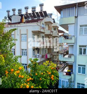 Art der Türkischen Wohnhäusern. Es gibt Sonnenkollektoren und Tanks, die zur Erwärmung von Wasser auf dem Dach. Vor den Häusern wächst ein Baum mit Orang Stockfoto