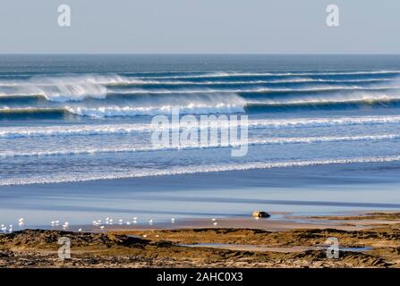 Sommertage mit blauem Himmel, Wellen und Surfern auf Westward Ho! Strand, North Devon, Großbritannien Stockfoto