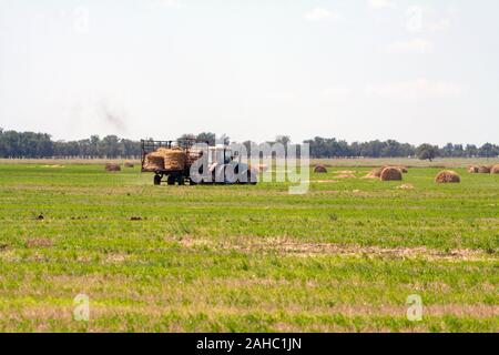 Einen landwirtschaftlichen Traktor Lader lasten Heuballen in einen Traktor Anhänger auf dem Feld Stockfoto