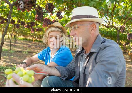 Winzer Vater teilen sie ihre Erfahrung mit Sohn im Weinberg. Family Winery. Winzer Mann in Strohhut sprechen mit Jungen. Zwei Generationen von Stockfoto