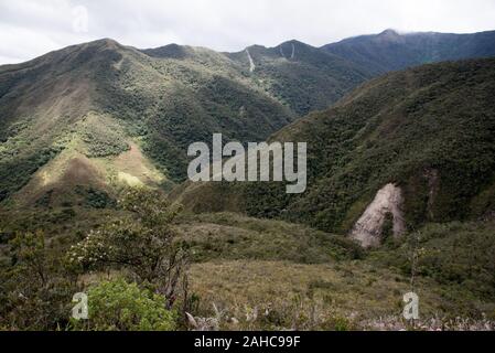 Erdrutsch im Urwald im tropischen Podocarpus-Nationalpark in den Anden auf 3000 Meter über dem Meeresspiegel in Ecuador. Stockfoto