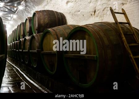 Reihen von Holzfässern in Bier Sudhaus Stockfoto