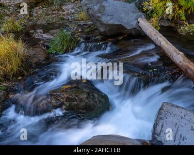 Oak Creek, Oak Creek Canyon, Sedona, Arizona Stockfoto