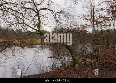 Der volksdorfer Teich wiesen im Winter Hamburg Deutschland Stockfoto