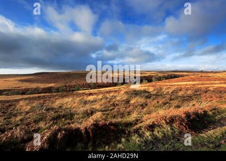 Blick über Barbrook 1 Stone Circle, Ramsley Großes Moor, Nationalpark Peak District, Derbyshire, England, Großbritannien Stockfoto