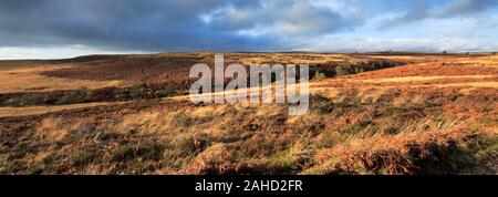 Blick über Barbrook 1 Stone Circle, Ramsley Großes Moor, Nationalpark Peak District, Derbyshire, England, Großbritannien Stockfoto