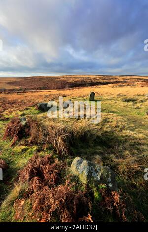 Blick über Barbrook 1 Stone Circle, Ramsley Großes Moor, Nationalpark Peak District, Derbyshire, England, Großbritannien Stockfoto