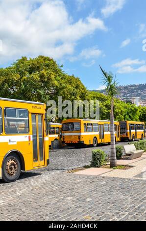Funchal, Madeira, Portugal - September 10, 2019: Main Station Terminal mit gelben Busse in der Hauptstadt Madeiras. System öffentlicher Verkehrsmittel. Geparkten Busse fotografiert an einem sonnigen Sommertag auf vertikalen Foto. Stockfoto