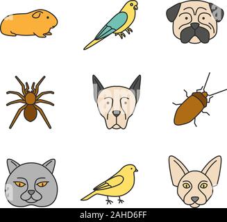 Haustiere Farbe Symbole gesetzt. Cavia, Wellensittich, Mops, Spider, Dobermann, Kakerlake, Kanarische, Canadian Sphynx, britische Katze. Isolierte Vektorgrafiken Stock Vektor