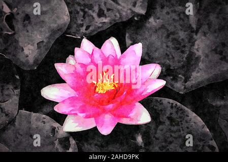Digitale Kunst Malerei Leinwand - schöne rosa Seerose umgeben von dunklen Blätter auf einem Teich (Aquarell) Stockfoto
