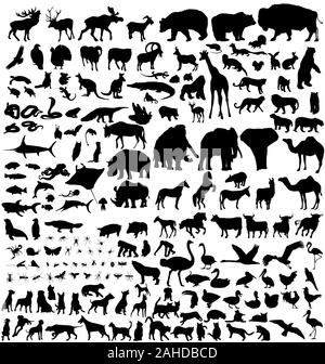 Große Menge von Tiervektor-Silhouetten Stock Vektor